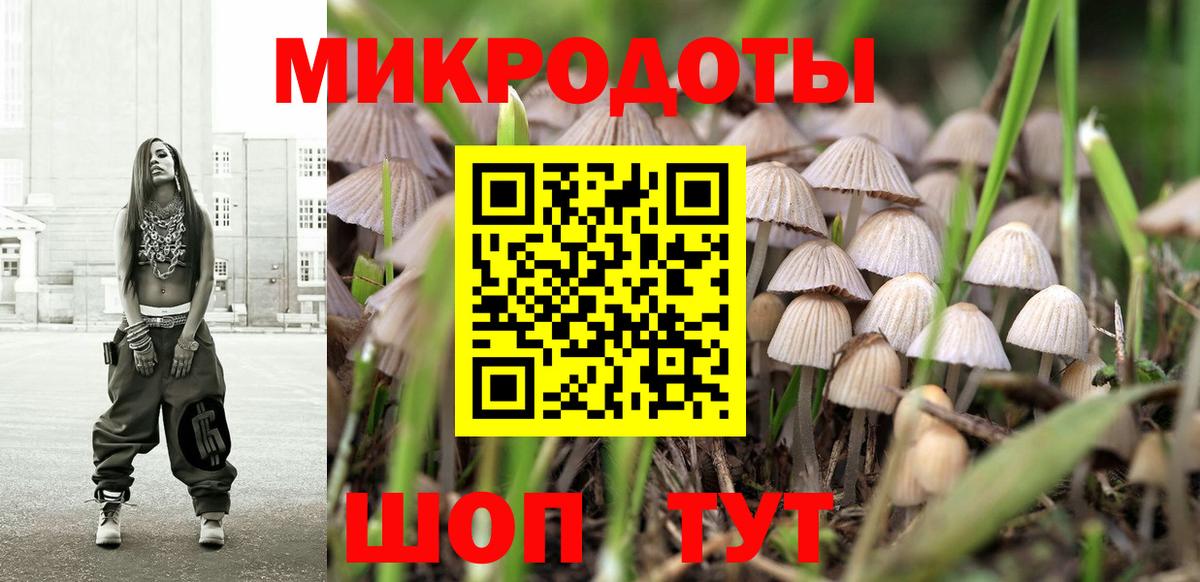 Галлюциногенные грибы Magic Shrooms Свободный