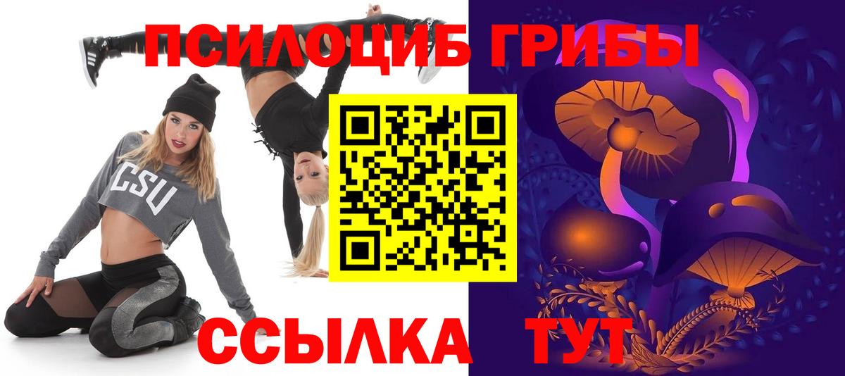 Галлюциногенные грибы Psilocybine cubensis  Вход с VPN  Свободный 